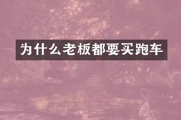 为什么老板都要买跑车