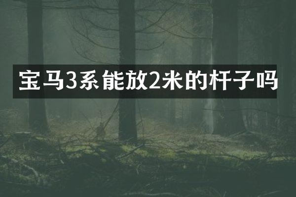 宝马3系能放2米的杆子吗