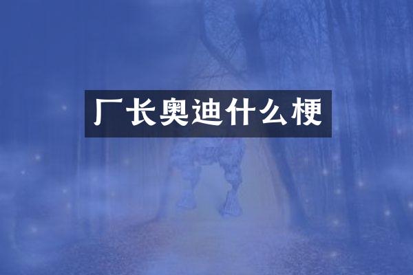 厂长奥迪什么梗
