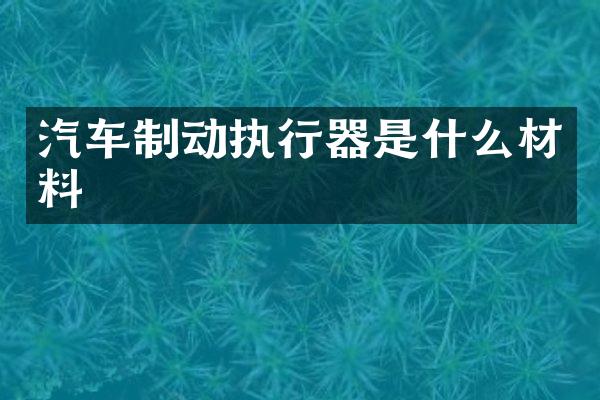 汽车制动执行器是什么材料
