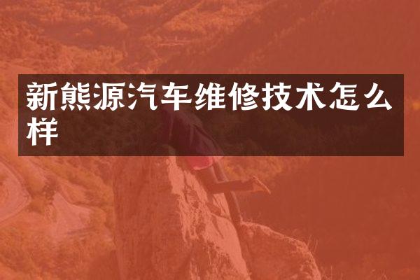 新熊源汽车维修技术怎么样