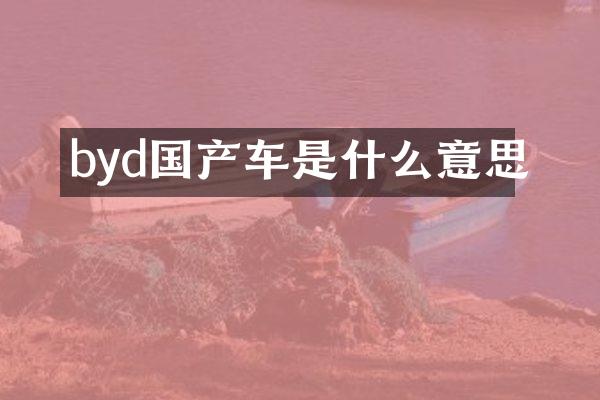 byd国产车是什么意思
