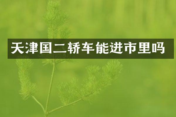 天津国二轿车能进市里吗