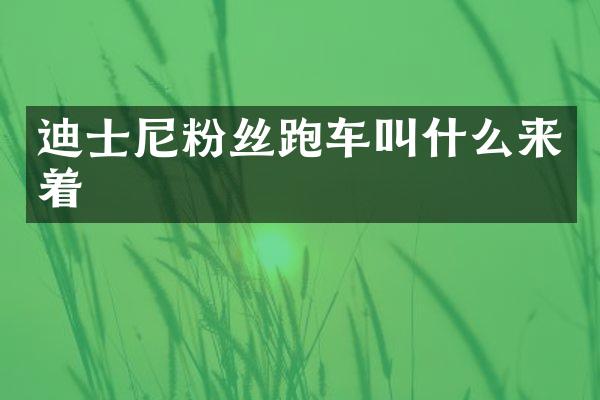迪士尼粉丝跑车叫什么来着