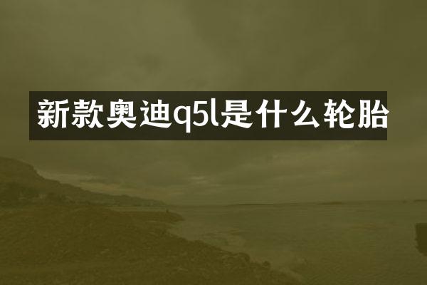新款奥迪q5l是什么轮胎