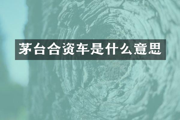茅台合资车是什么意思