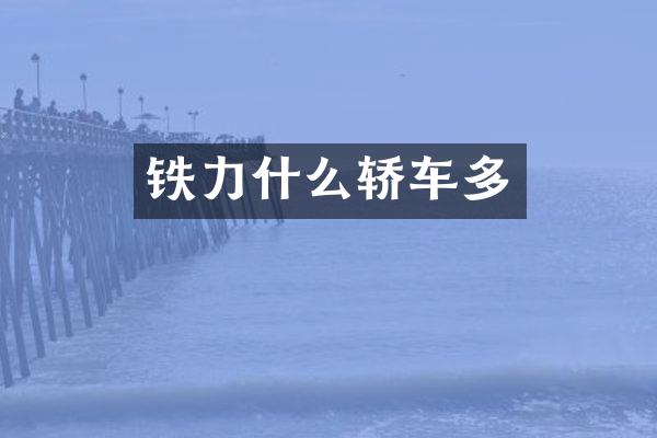 铁力什么轿车多