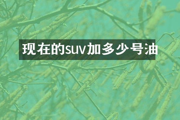 现在的suv加多少号油