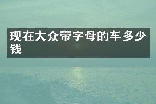 现在大众带字母的车多少钱