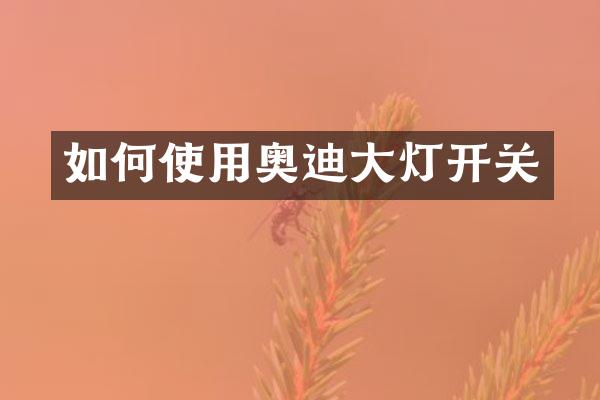 如何使用奥迪大灯开关
