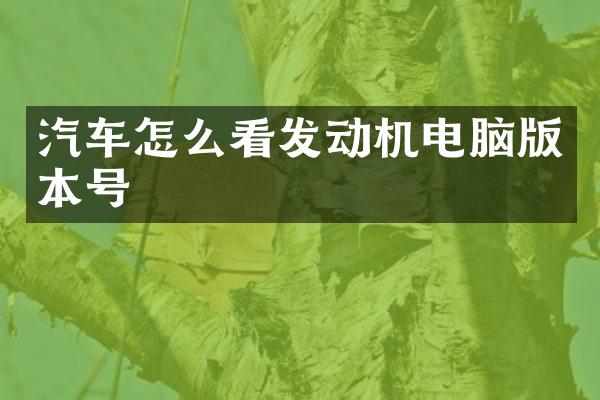 汽车怎么看发动机电脑版本号