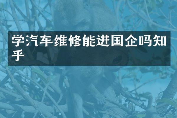学汽车维修能进国企吗知乎