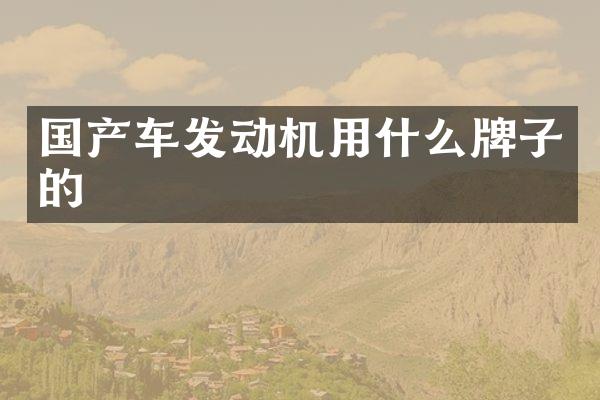 国产车发动机用什么牌子的