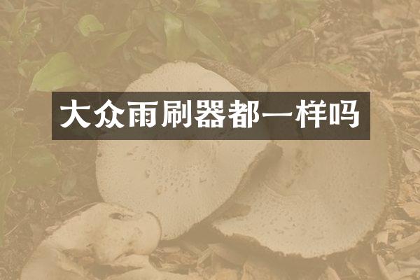 大众雨刷器都一样吗