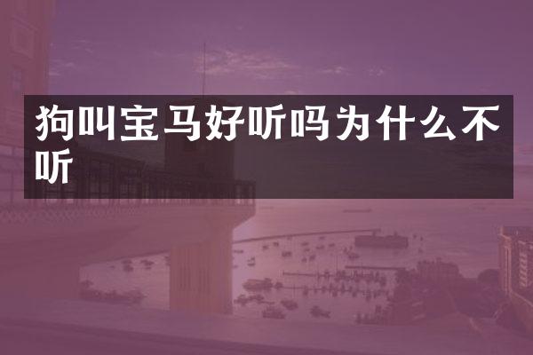 狗叫宝马好听吗为什么不听