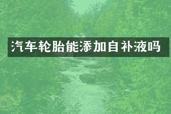汽车轮胎能添加自补液吗
