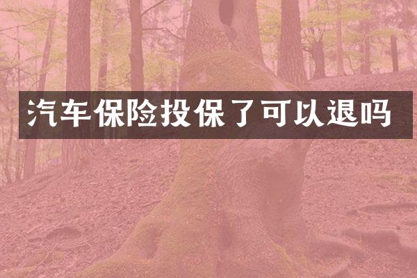汽车保险投保了可以退吗