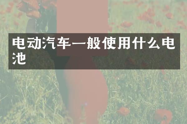电动汽车一般使用什么电池