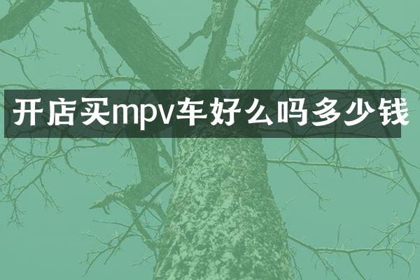 开店买mpv车好么吗多少钱