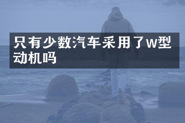 只有少数汽车采用了w型发动机吗