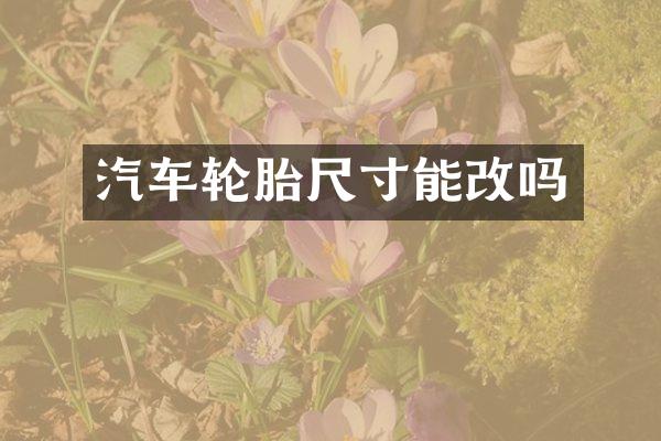汽车轮胎尺寸能改吗