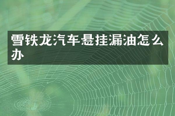 雪铁龙汽车悬挂漏油怎么办