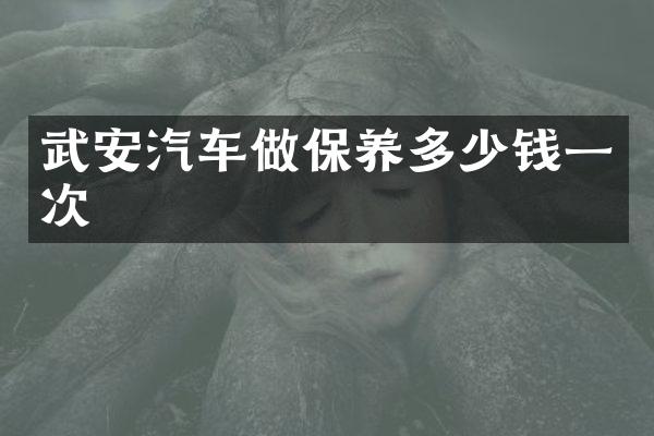 武安汽车做保养多少钱一次