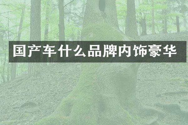 国产车什么品牌内饰豪华