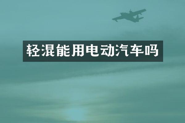 轻混能用电动汽车吗