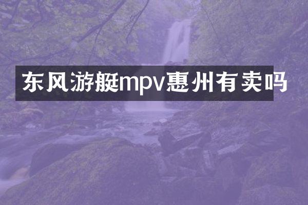 东风游艇mpv惠州有卖吗