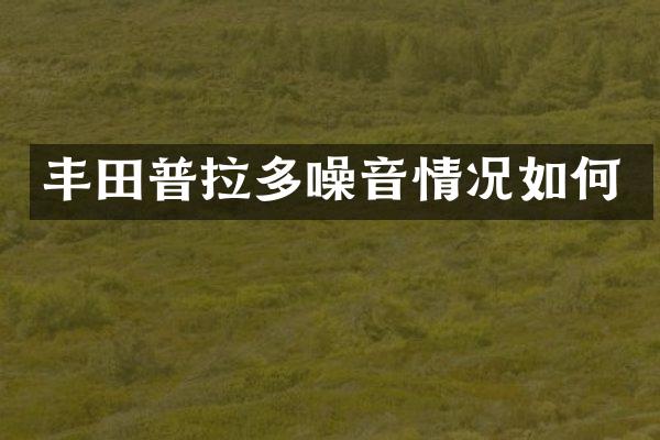 丰田普拉多噪音情况如何