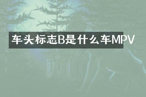 车头标志B是什么车MPV