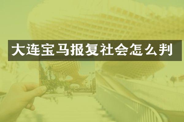 大连宝马报复社会怎么判
