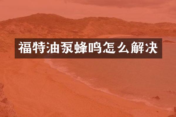 福特油泵蜂鸣怎么解决