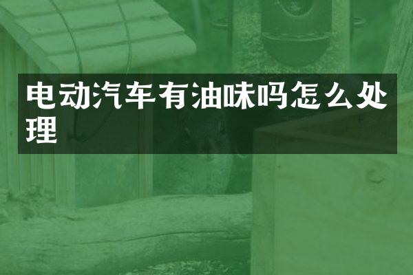 电动汽车有油味吗怎么处理