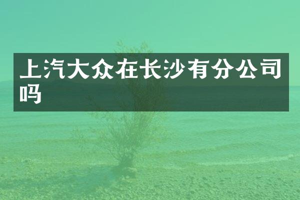 上汽大众在长沙有分公司吗