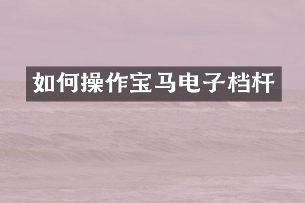 如作宝马电子档杆