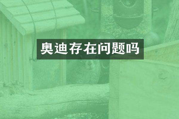 奥迪存在问题吗