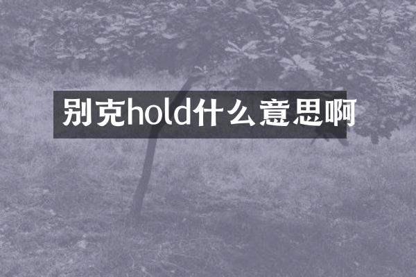 别克hold什么意思啊