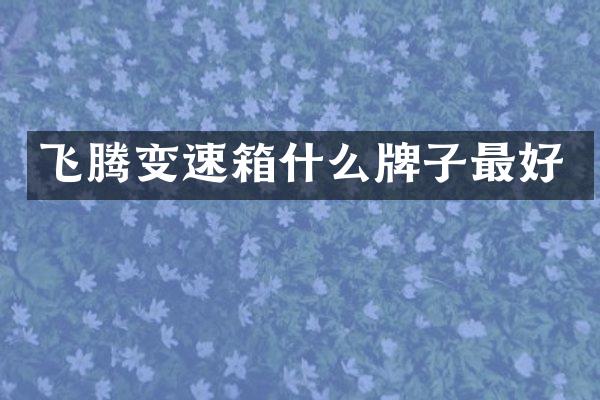 飞腾变速箱什么牌子最好