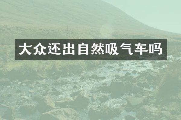 大众还出自然吸气车吗