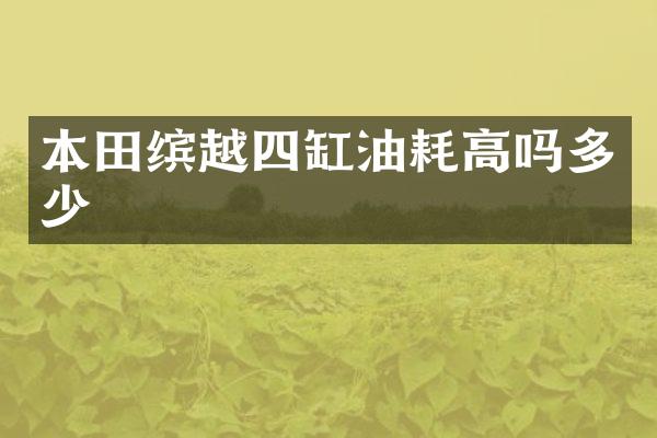 本田缤越四缸油耗高吗多少