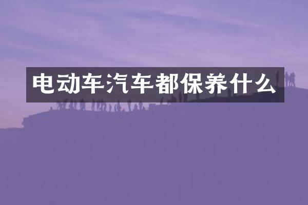 电动车汽车都保养什么