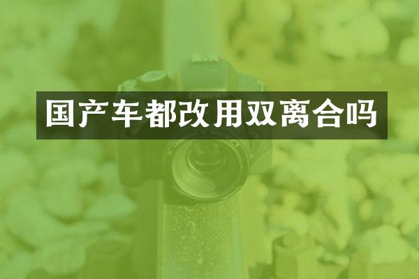 国产车都改用双离合吗