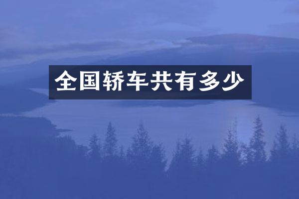 全国轿车共有多少