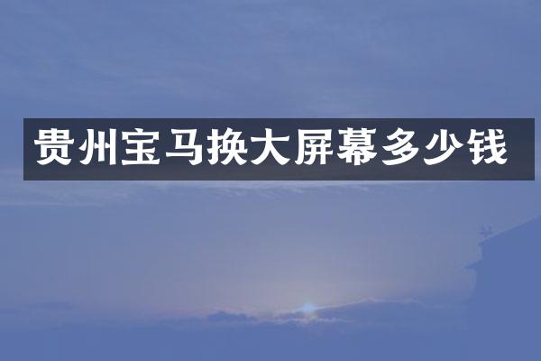 贵州宝马换大屏幕多少钱
