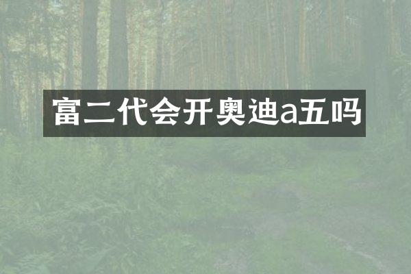 富二代会开奥迪a五吗