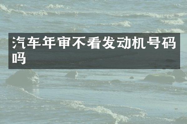 汽车年审不看发动机号码吗
