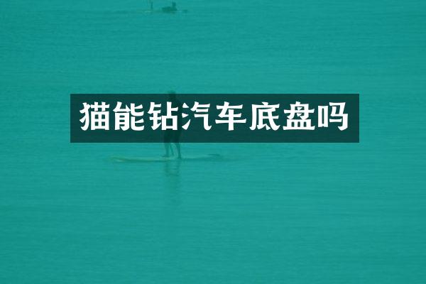 猫能钻汽车底盘吗
