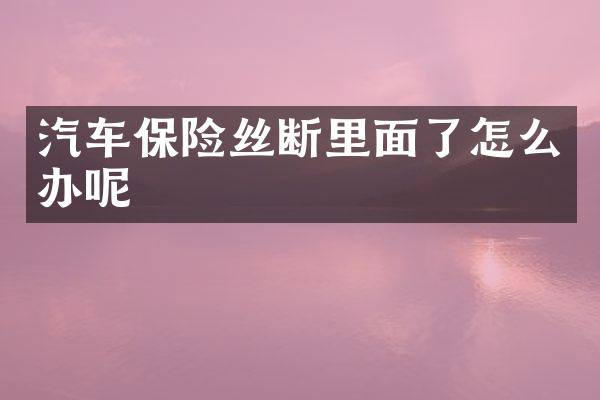 汽车保险丝断里面了怎么办呢